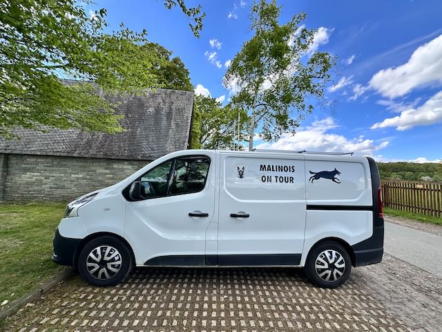 Renault Trafic als Hunde und Abenteuer Van