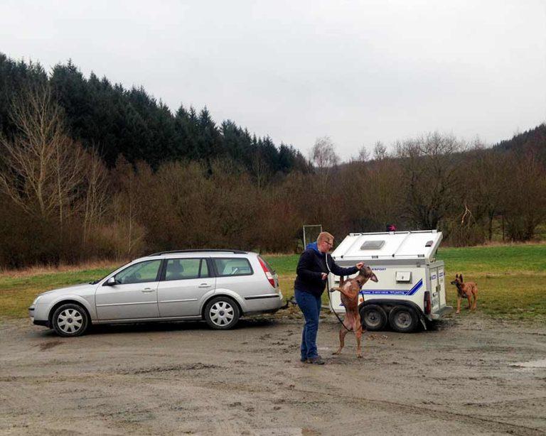 Ford Mondeo mit WT Hundeanhänger